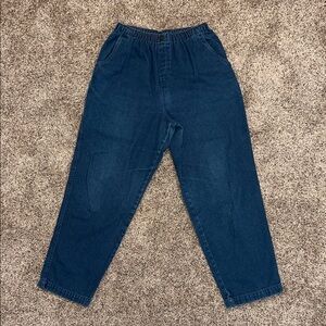 Women’s Allison & Co Blue Denim Elastic Waist Plus Size Jeans